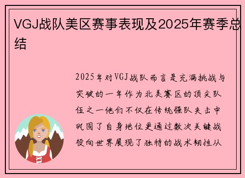 VGJ战队美区赛事表现及2025年赛季总结